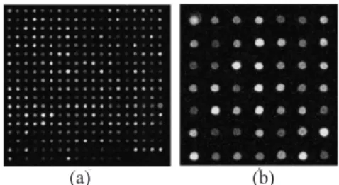 Figure 3.  (a) The greyscale image of the input image; (b) the rescale input image consists of  7×7 spots