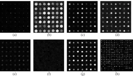 Figure 3.  (a) The greyscale image of the input image; (b) the rescale input image consists of  7×7 spots
