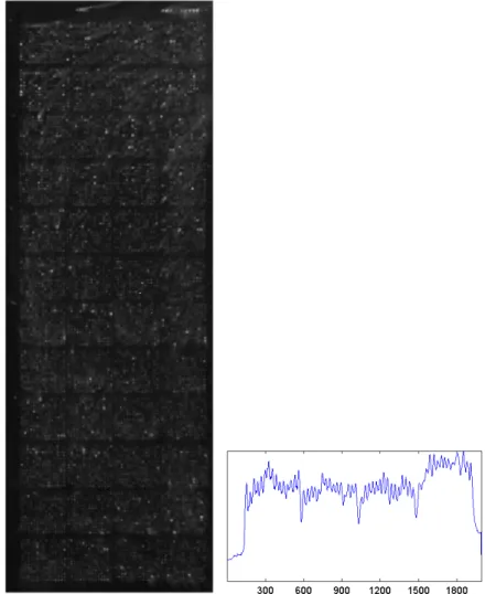 FIGURE 1. Left: Composite image. Right: vertical projection profile. Valleys that correspond to block  boundaries can be clearly observed