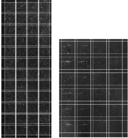 FIGURE 5. Left: block segmentation result of image of Fig.1. Right: block segmentation result of      