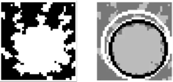 FIGURE 8. Best-fit circle computation for spot segmentation. Left: Thresholded region
