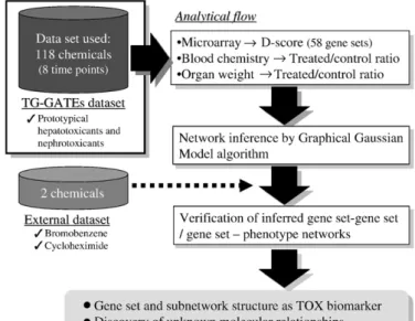 Fig. 1. Overview of network inference. The major objective of the present study was to develop a gene set- and phenotype-level network based on TG-GATEs, a large-scale toxicogenomics database developed by the government–industry collaborative Toxicogenomic