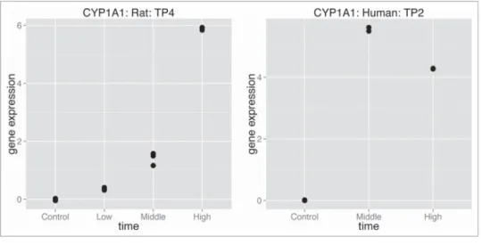 Figure 6. Example of gene translatable between rat and human for compound omeprazole: gene Cyp1a1 in rat, respectively CYP1A1 in human.