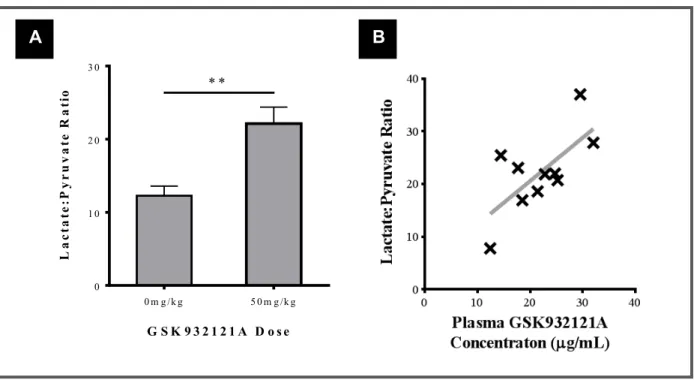 FIGURE 3.7: Effect of 50mg/kg GSK932121A on whole blood lactate:pyruvate ratio compared with blood taken from VC  animals