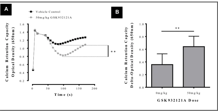 FIGURE  3.9:  Analysis  of  liver  mitochondrial  CRC  following  treatment  of  rats  with  GSK932121A  in  vivo