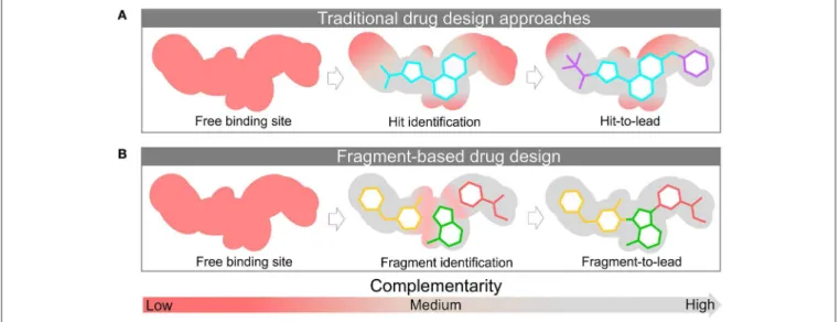 FIGURE 2 | Discovery and structural-optimization of drug-like molecules (A) and fragments (B) using protein target information