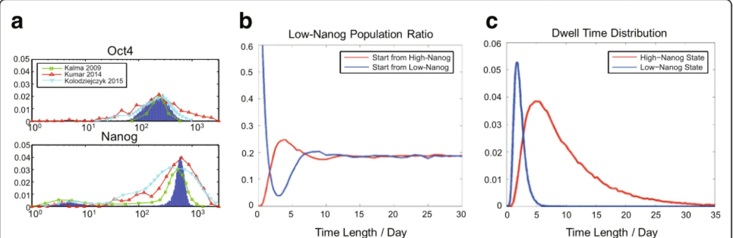Fig. 2 Bimodal gene expression distribution and stochastic transitions between states with high / low Nanog level of the model
