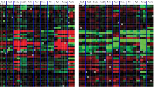 Figure  3.4  Comparison  between  biological  and  technical  repeats.  Heatmap  showing  the  Fluidigm results of the selected gene KD samples in differentiation condition