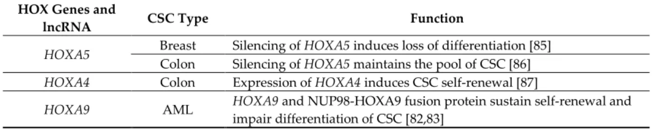 Table 1. HOX genes and HOX-cluster derived lncRNA in CSC. 