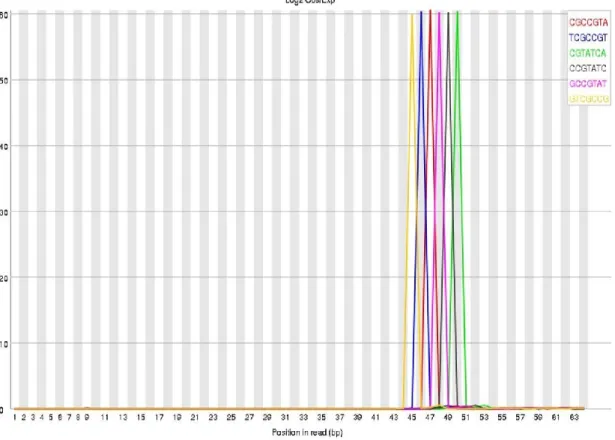 Figure 2.9 graph illustrating the Kmer content. 