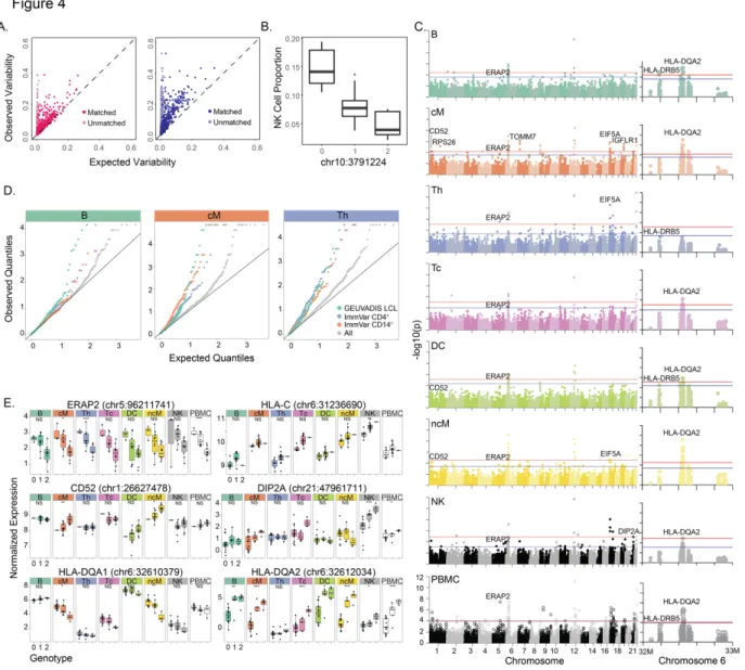 Figure 2.4 – Genetic control over cell type proportion and gene expression (N=23).  