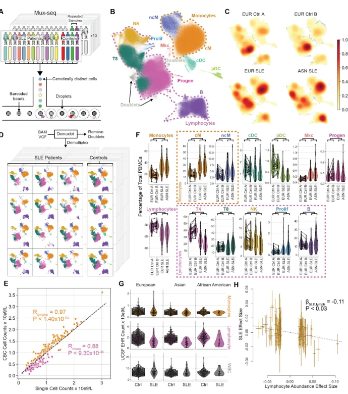 Figure 3.1: Overview and compositional changes in SLE.  