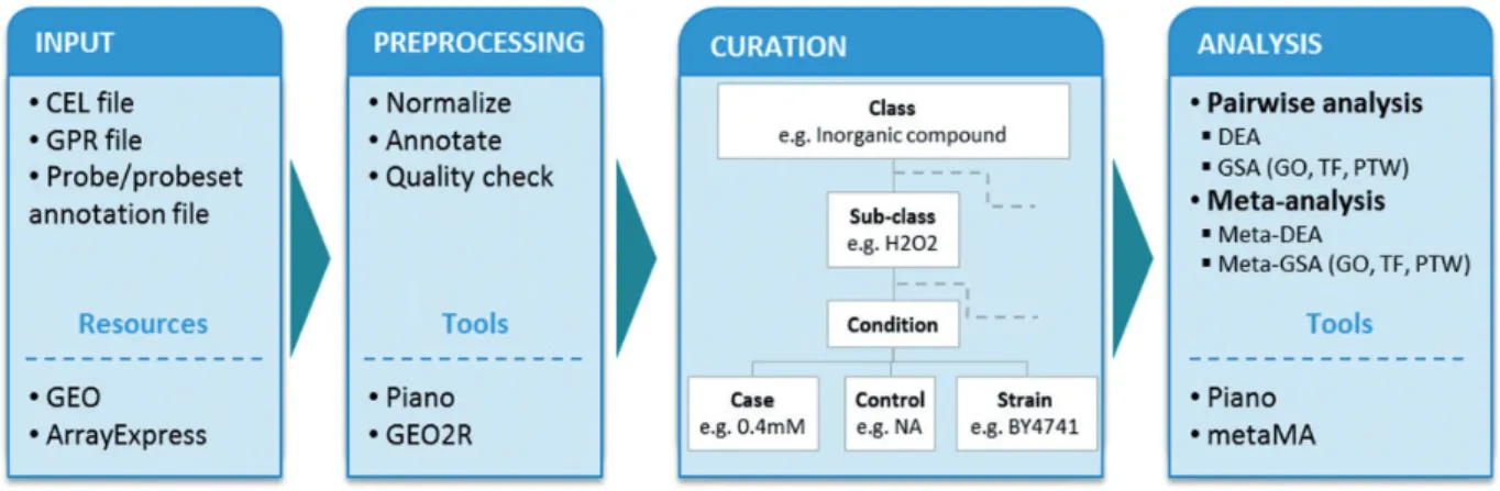 Figure 1. Analysis workflow. The diagram shows the workflow in the following steps: input, preprocessing, curation and statistical analyses