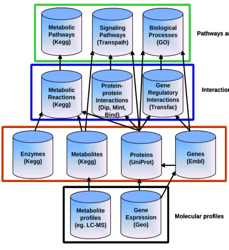 Figure 3.1: Multiple molecular biology databases provide descriptions of biological systems at different levels of abstraction