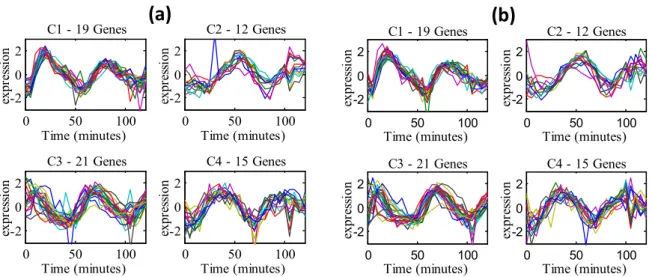 Figure 5.1. The expression profiles of the yeast genes in the four core clusters. 