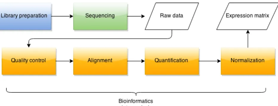 Figure 2: General workflow of RNA-Seq
