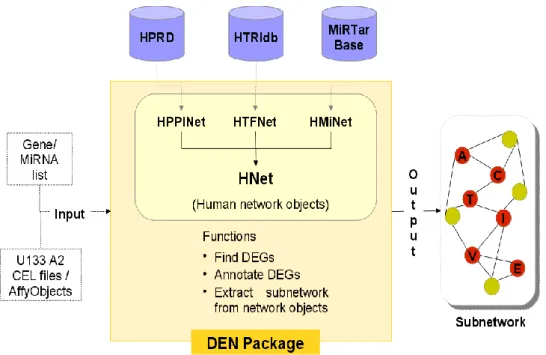 Figure 1. Overview of DEN package 