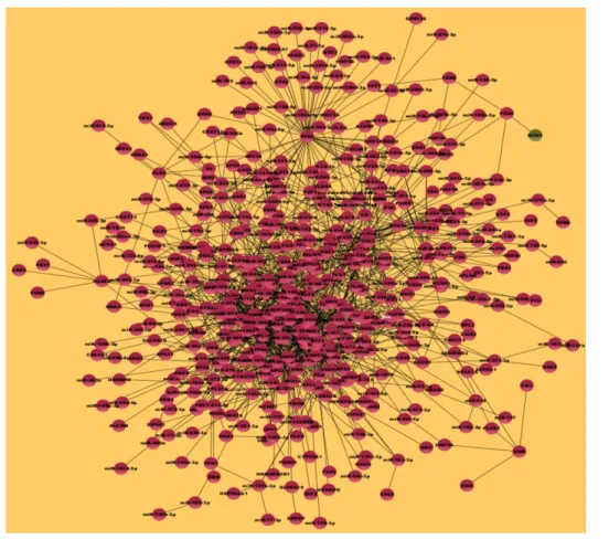 Figure 3: An active network involved in development of endoderm, derived using DEN. Cytoscape  version 2.8 [39] is used for visualization