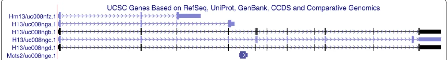 Figure 9 Isoform structures of H13 and Mcts2. Labeled graphical depiction of H13 and Mcts2 UCSC isoform structures.