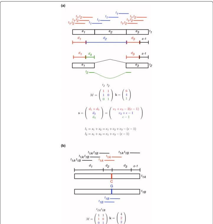 Figure 2 MMSEQ data structures to represent read mappings to alternative isoforms and alternative haplotypes
