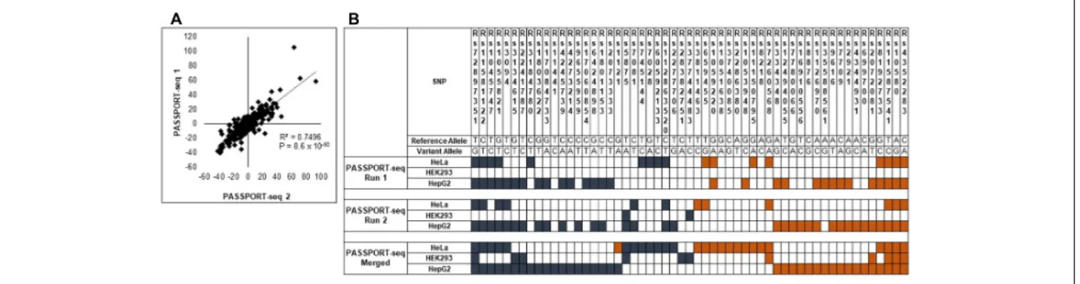 FIGURE 2 | Validation of the PASSPORT-seq assay. (A) Correlation between the percent-change of variant alleles compared to respective reference alleles observed in the experimental and validation PASSPORT-seq runs
