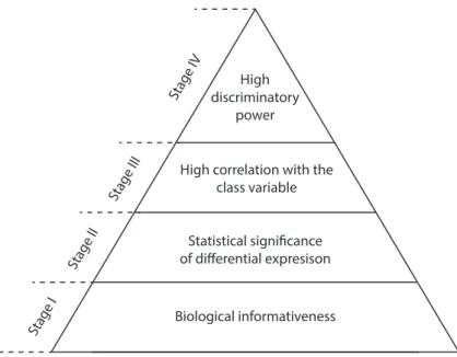 Figure 4.1: Hierarchical organization of the stage-specific forms of relevance