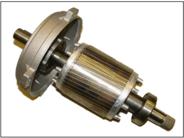 Figure 2-3: Induction motor squirrel cage rotor [19]. 
