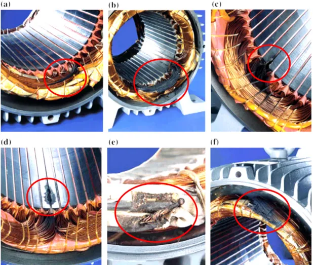 Figure 2-8: Different stator windings faults caused by insulation damage [30]. 