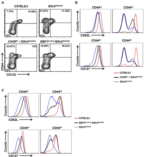 Figure 4: CHOP or XBP1 deficiency partially rescues the semiactivated phenotype of Slfn2from the C57BL6/J, levels of CD62L (upper panel) and IL-7Rα (CD127) (lower panel) on surface of both CD8eka/eka cd8+ T cells