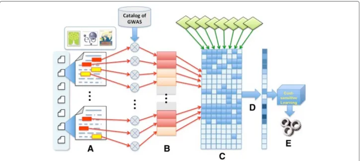 Fig. 3 System architecture. Our proposed system architecture summarizing the steps (a-e) in the machine learning training process