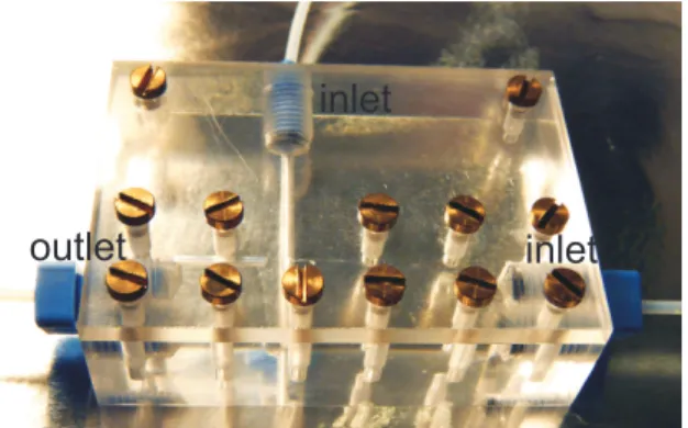 Figure 3.3.: Microuidic device machined into a PMMA block and sealed by a PMMA sheet.