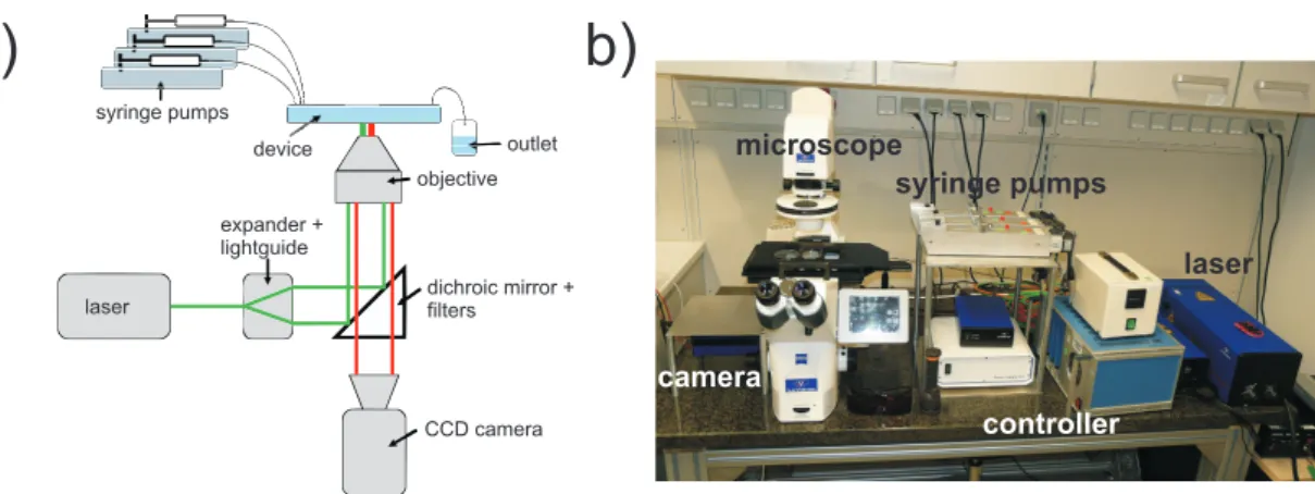 Figure 3.6.: a) Block-diagram of a typical optical setup used for uorescence microscopy and µPIV.