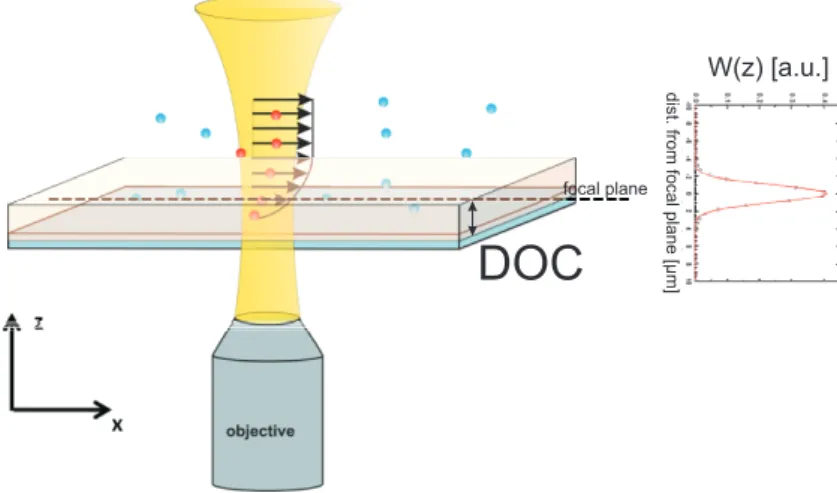 Figure 6.1.: Sketch illustrating the thickness of the measurement plane in µPIV due to the Depth of Correlation (DOC) and the weighting function W z.