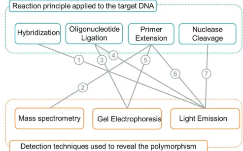 Figure  12.  SNP  genotyping  methods  categorized  by  reaction  principles  and  detection