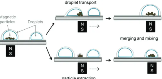 Figure  18  Illustrative  set-up  and  basic  operations  in  a  magnetically  actuated  droplet-system