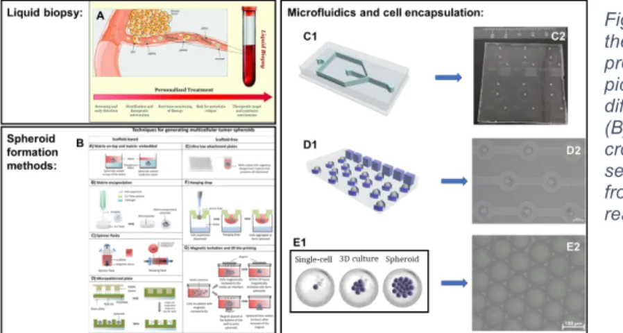 Figure  3 –  Descriptive figure with all of  the different elements that shape the  premise of the thesis, with an image  de-picting liquid biopsy characteristics 65  (A)  different spheroid formation techniques 86 (B) and the different steps regarding  mi