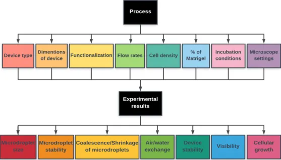 Figure 6 - Representative schematic of the aspects analysed throughout the thesis (before and after the experi- experi-ments were performed)