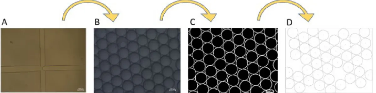 Figure 8 - Illustrative figure of the process regarding analysis of microdroplet monodispersity of the samples