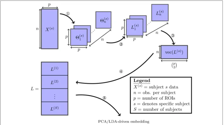 FIGURE 1 | The various steps involved in the proposed embedding method are visualized: (1) the SINGLE algorithm detailed in Appendix A (Supplementary Material] is used to obtain estimates of time-varying precision matrices