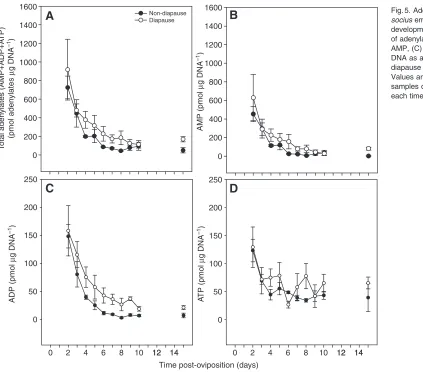 Fig.5. Adenine nucleotides in A.