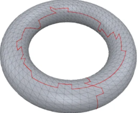 Figure 1.3: a triangularization of a hollow torus with (in red) two 1-chains bounding two 1-dimensional holes.