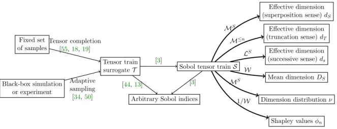 Figure 1. Previous work has established the TT model as a valuable tool for sensitivity analysis