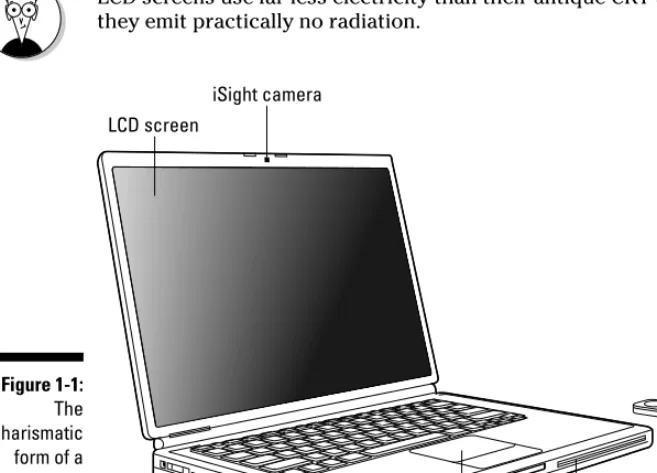 Figure 1-1:The