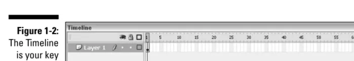Figure 1-2:The Timeline