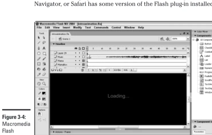 Figure 3-4:Macromedia
