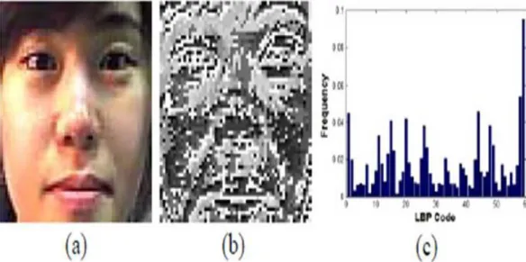 Figure 2.11 Feature vector extraction process based on LBP (a) original facial image (b) LBP-coded image (c) histogram of the