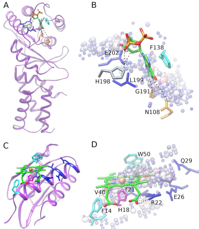 Fig 8. Two examples of accurately classified ligand-binding pockets. (A and B) A GDP-binding protein, the signal recognition particle receptor ftsY from E