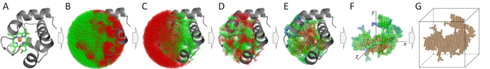 Fig 1. Voxelization of ligand-binding pockets. (A) Starting from a ligand-protein complex, a sphere centered on the geometric center of the ligand is created and filled with a 3D grid
