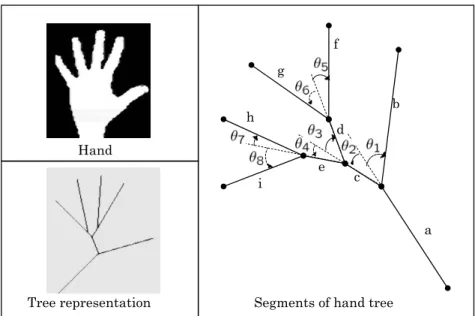 Figure 1.6: Hand tree representation by complex number. After preprocessing by image processing techniques the segments construct a tree, each having a length and angle.