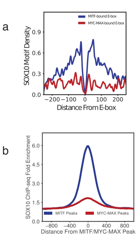 Figure 4.2: (a) Density of SOX10 motifs around MITF-bound and MYC-MAX-bound E-boxes. SOX10 motif shows a strong co-localization 30-150 bps from MITF-bound E-boxes, but does not co-localize with MYC-MAX E-boxes